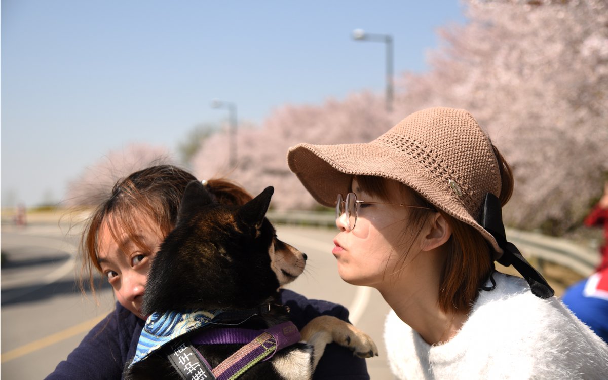 izumi3409's tweet photo. [今日はイーディースーを持って、仲間と楽しく散歩中！途中で変なものを撮影しちゃった]， https://t.co/KRJB3mojJJ