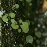 Photo by Findaskinxu 📷 7️⃣3️⃣🍀- Fran (@findaskinxu)