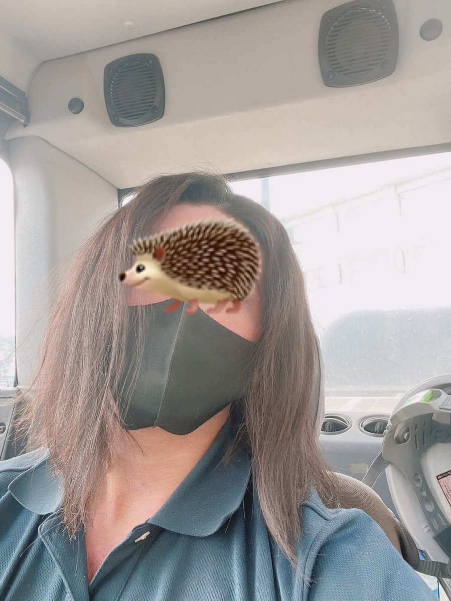 Bon6466's tweet photo. お待たせ〜🦔ྀི
ぺいぺい1000×1

リポスト
欲しリスない人が当たったら再抽選

今日の22時30分ごろ〆 https://t.co/pEx2ZN2tLp