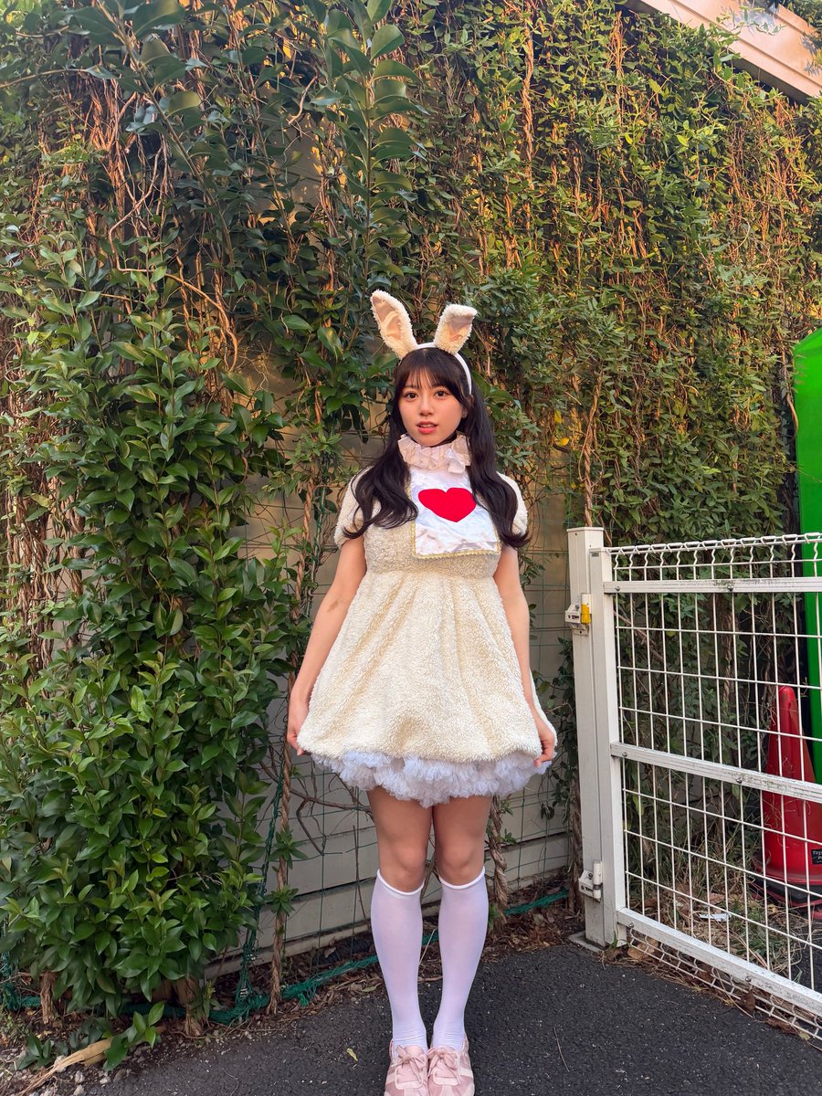 rena_mv0405's tweet photo. ONE AND ONLY Vol.46 SP ありがとうございました💛

宇宙人から白うさぎに大変身🪄︎︎ᐝ👽🐇
みんなはどっち派？？

仕事の合間、有給使って会いに来てくれてとても愛を感じた…❤️ありがとう！！！

ミクベル初の豊洲PITとっても楽しかった♡
 #ミクベル  #MixVeil    #加藤玲菜 https://t.co/LZUW7LiHTd