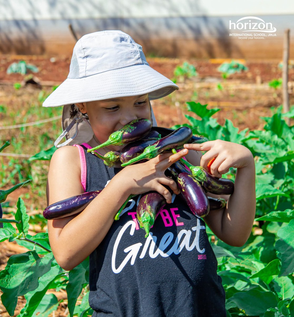 horizon_uganda's tweet photo. Look who celebrated their first harvest! 

Our young gardeners were thrilled to see their hard work, dedication, and patience pay off as they harvested their first eggplants yesterday! 

Beyond planting and nurturing their crops, they gained valuable hands-on experience while learning about responsibility, sustainability and the journey from garden to table. Join us in celebrating their milestone. 👏

#ChooseHorizon | #GardeningClub