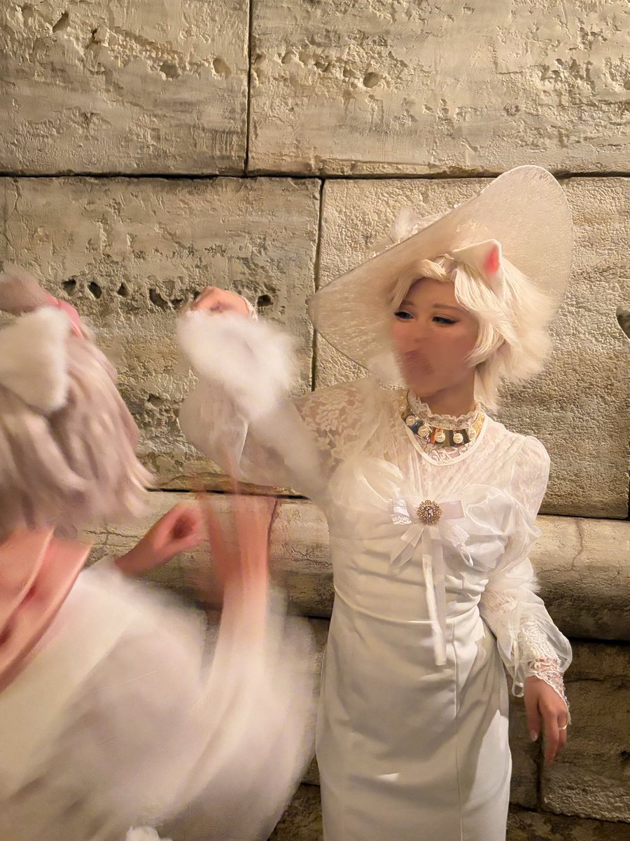 DMaHiNa_kaso's tweet photo. ガチ猫おしゃれキャット

🎀→@Uju_0224 
📸→@ri_cos0205 https://t.co/Zslp7Shm8L