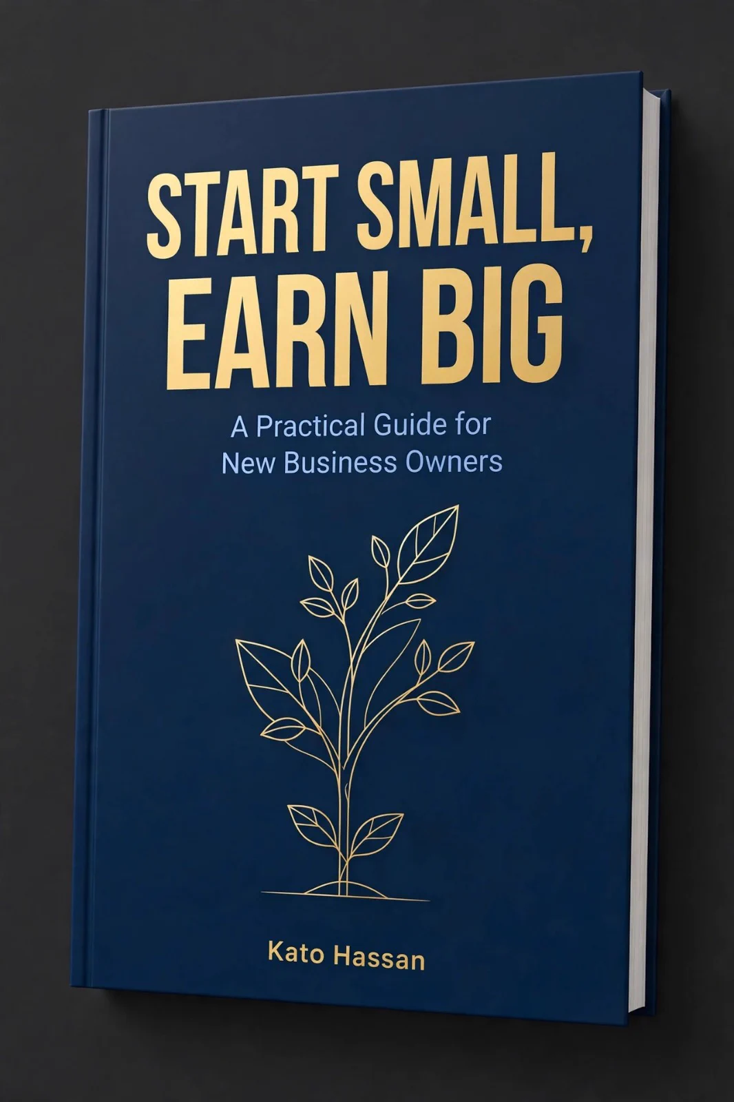 BUSINESS GUIDE (@KatoHassanrx) / X