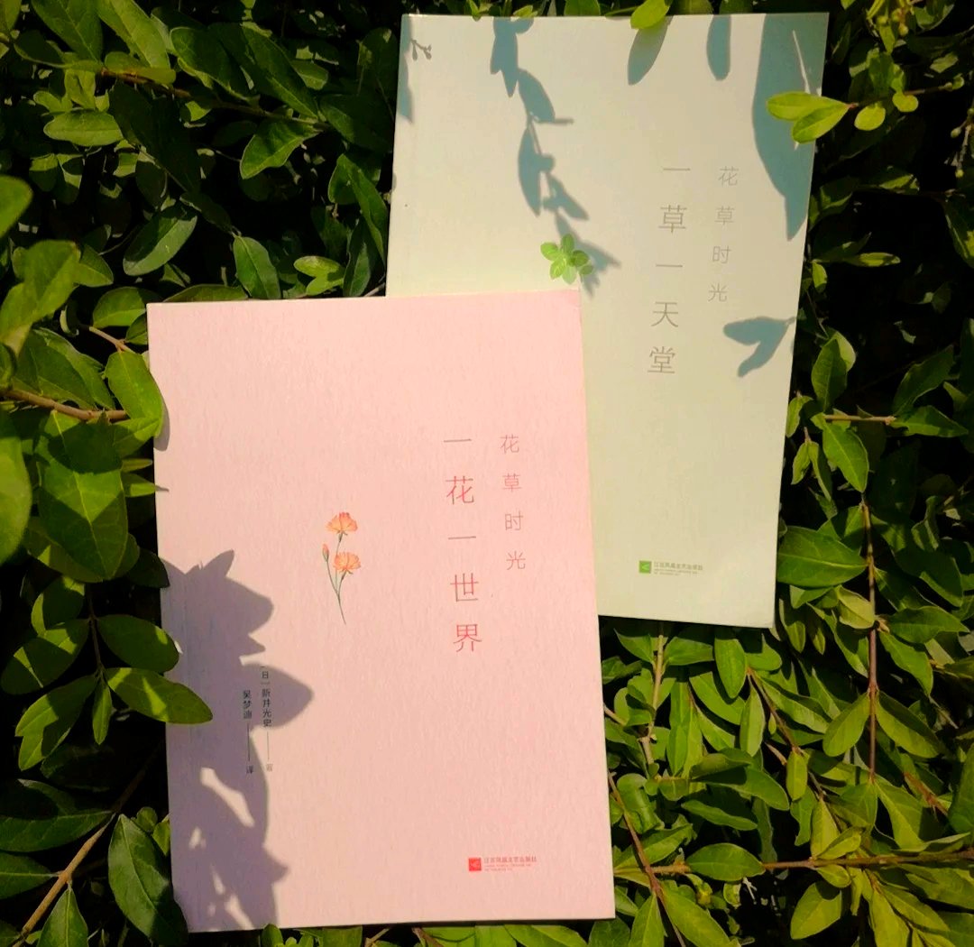 mar_up_1229's tweet photo. [興思沼慕却]な、心に残る五文字。日々のふとした瞬間に思い出す、特別な言葉。 https://t.co/earaoCYTIL
