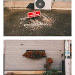 Photo by masaki (@JoshuaTree_11)