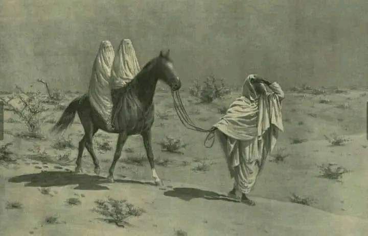 6kmzb's tweet photo. قيلَ في عفّة نساء العرب:

"هنّ اللواتي في البيوت جواهرٌ 
وإذا خرجنَ إلى الطريق خيامُ

بيضٌ نَواعمُ مَا هَممن بريبةٍ
كَظباءِ مَكَّةَ صَيدُهنَّ حَرامُ" https://t.co/lHCtsXvgml