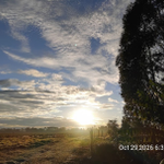 Photo by Friends of Mau Watershed (FOMAWA) (@FOMAWA)