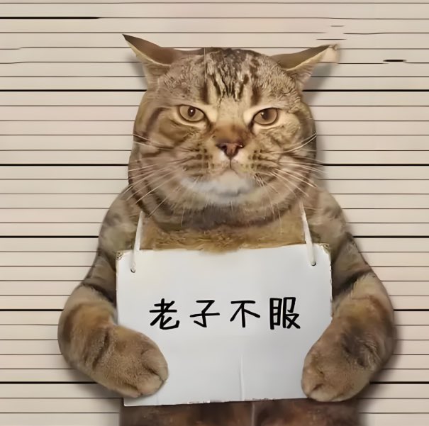 Gilyu6's tweet photo. @SynthwaveSyni @CitizenOfPRC 一切罪恶都将绳之以法！ 这是引渡条约 小猫 https://t.co/qvW9WFqKj2