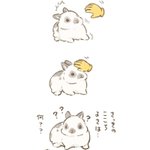 Photo by 大賀一五🐰 (@taiga15)