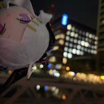 Photo by 浪ジカルシンキング (@Logical_Ronin)