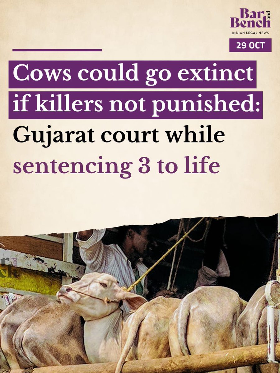 barandbench's tweet photo. Cows could go extinct if killers not punished: Gujarat court while sentencing 3 to life

Read here: https://t.co/5jqr06UJdz https://t.co/OHmXd2NfCP