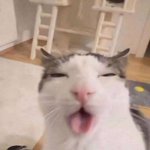 Photo by ceo of catboys (comms closed ) (@Devinlarge2)