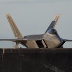 Photo by Fighters Field 556 (@midnigft)