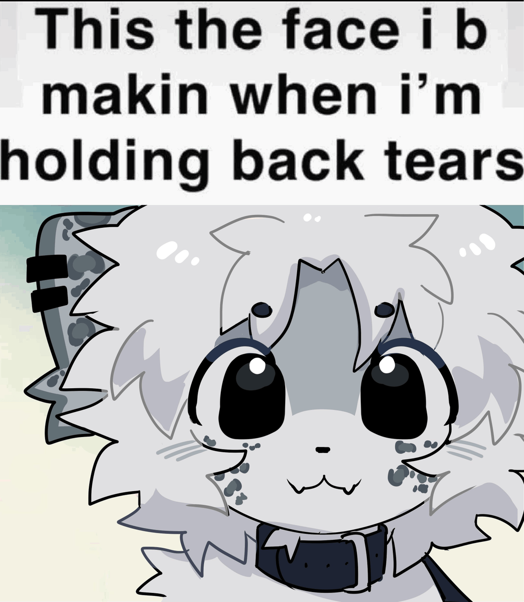 uslesspple's tweet photo. https://t.co/FBZZxYfJGY