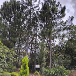 Photo by Friends of Mau Watershed (FOMAWA) (@FOMAWA)