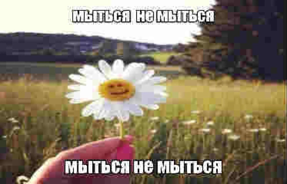 plastpunk's tweet photo. @unnievanilla Забей, им реально похуй https://t.co/IPfMhFerG8