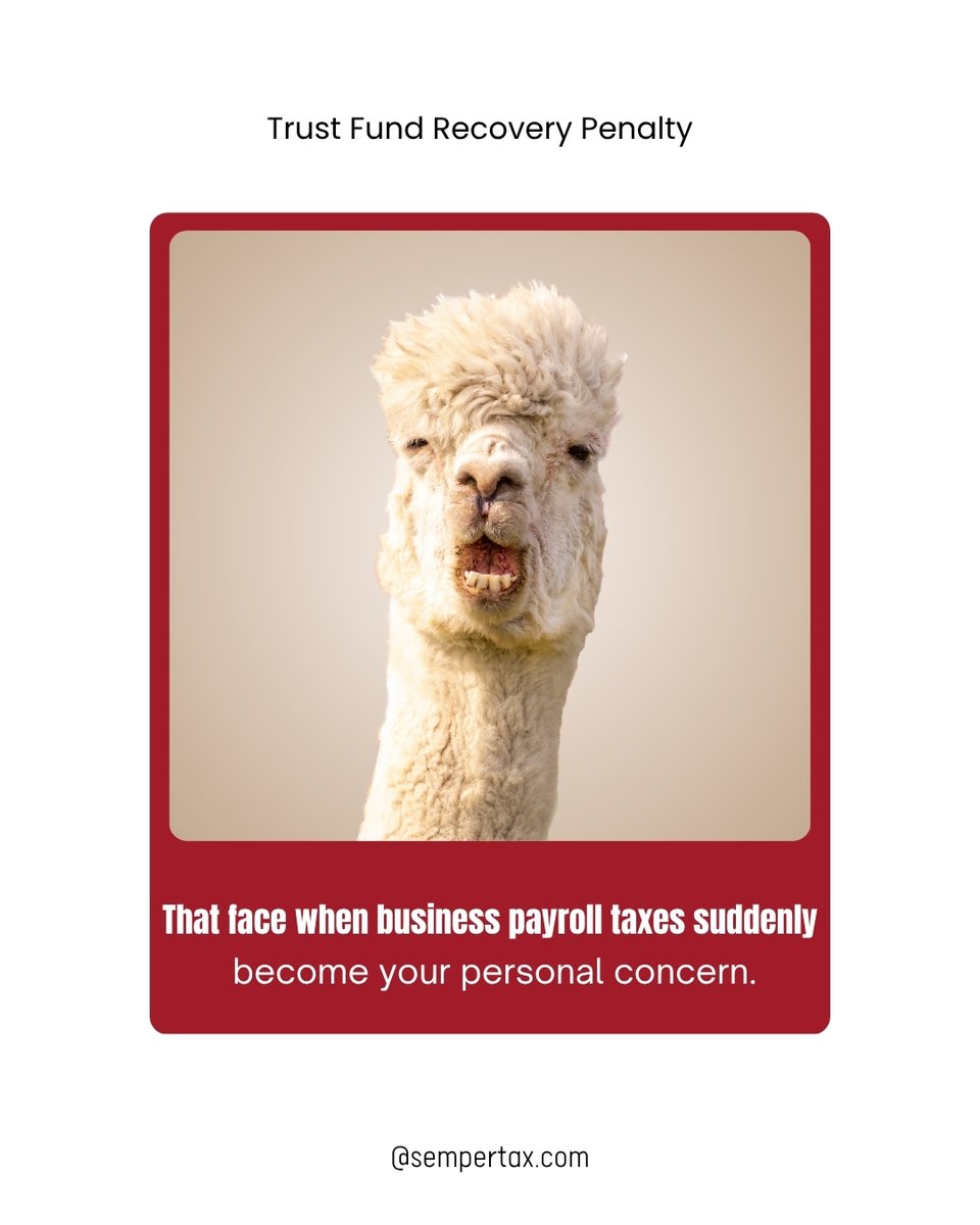 SemperTax's tweet photo. When business payroll taxes become your personal problem.
Get help at https://t.co/OTe0hK7YT0
#TFRP #TrustFundRecoveryPenalty #PayrollTaxes #SmallBusiness #IRS #TaxRelief #TaxMemes https://t.co/i3peVUR8Mw