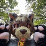 Photo by Redders (@Yemsfox)