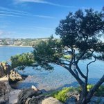 Photo by Jülide Hanoğlu (@HanogluJulide)