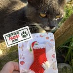 Photo by Knitty Kitty (@KnittyKittyWK)