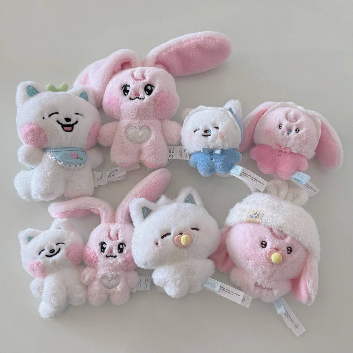 tipsyonseoul's tweet photo. 🐶🐰🩵💗 https://t.co/lIbpj2VrlM