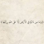Photo by القرآن الكريم (@lfth328539)