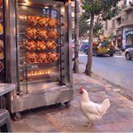 Photo by ♿ ابراهيم بوشوشة🇩🇿 (@Brahimteacher)