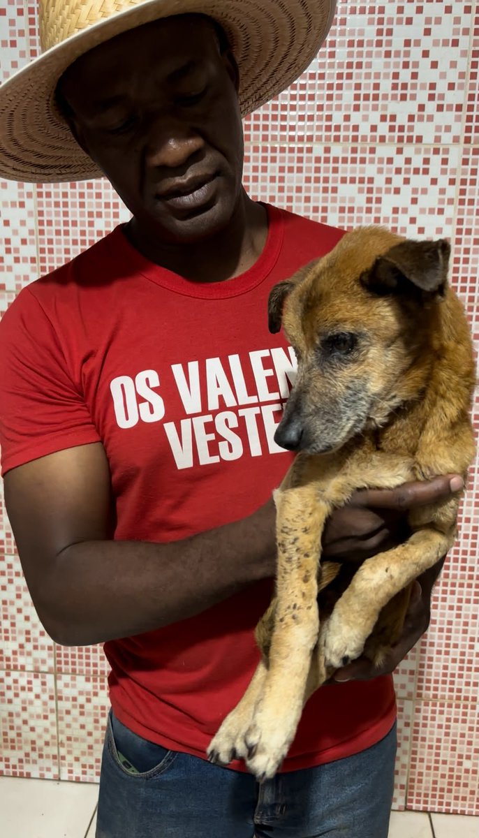 VivianDota's tweet photo. 😭😭😭 ELE FOI ENCONTRADO SEM OLHO 😭😭😭💔

RESGATAMOS! MAS PRECISAMOS MUITO DA AJUDA DE TODOS VOCÊS 🙏🏻🙏🏻🙏🏻🙏🏻
Pix 24285635000140
Paypal: ong.arcadafe.resgateanimal@gmail.com 
Enviar os comprovantes https://t.co/wRwUQgcOT4 https://t.co/02ppuRXI0B