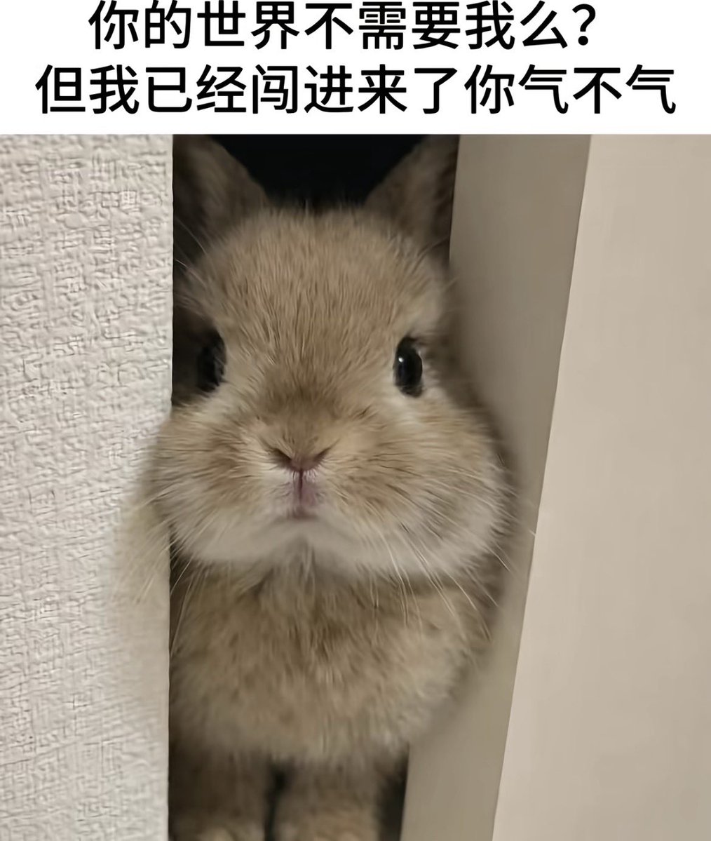 chuxiang_09's tweet photo. https://t.co/ZbqUu3cYBw