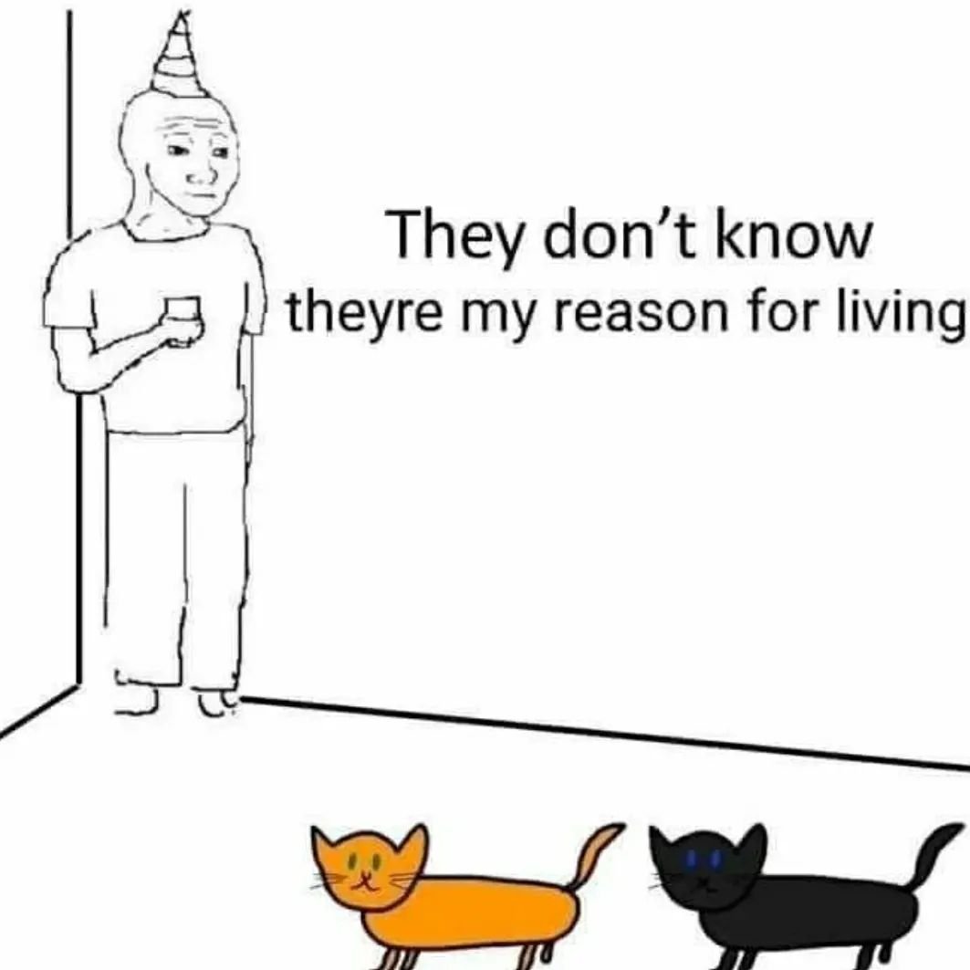 PunchingCat's tweet photo. https://t.co/vWpLSjkId1