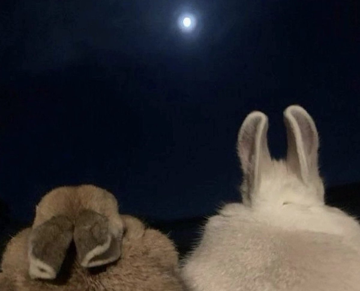 fruitpibble's tweet photo. i want to look at the moon with you https://t.co/qbV7HjnjQJ