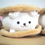 Photo by ギャラリー実のぬいぐるみ🧵 (@MinoruSSSS)