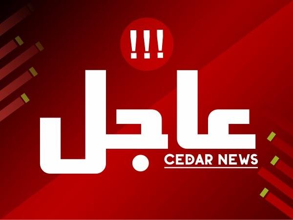 الملكة العذراء : أسرار الحب والسلطة في حياة إليزابيث الأولى التي تزوجت إنجلترا #عاجل 
