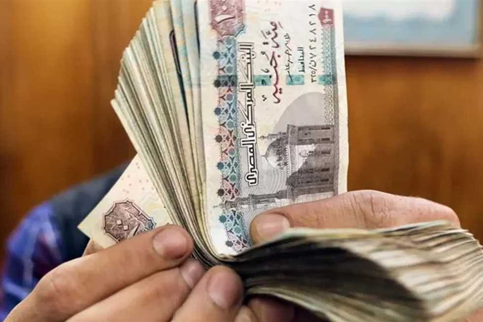 قرار عاجل من القضاء الإداري بشأن دعوى تطالب الحكومة بإقرار منحة استثنائية لأصحاب المعاشات (تفاصيل) 