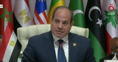 الرئيس السيسى: سنقف جميعًا صفًا واحدًا دفاعًا عن الحقوق العربية والإسلامية 