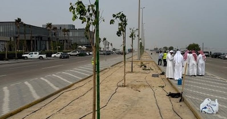 سبق" تشارك في غرس أولى الشجرات بالخبر دعمًا لمبادرة السعودية الخضراء وتعزيزًا لجودة الحياة 