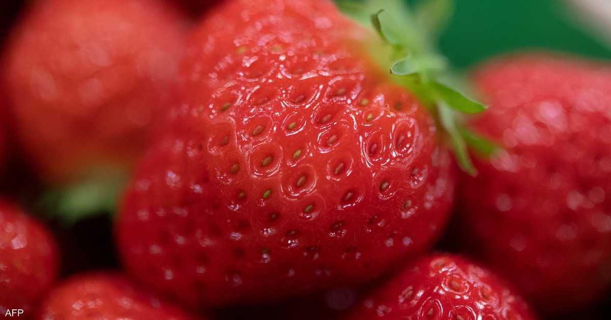 لتعزيز جهاز المناعة.. 7 فواكه غنية بفيتامين "سي" #فيتامين_سي 