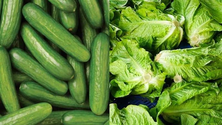 الخضيري: لا يوجد طعام لا يرفع السكر في الدم سوى الخس والخيار.. جميع أنواع الحبوب، بما فيها البدائل، ترفع السكر ولا تُعد علاجًا للسكري.. الحبوب تُستخدم عند الضرورة فقط وبكميات قليلة جدًا.. الوعي الغذائي وتغيير العادات هو الأساس للتحكم بالسكر 