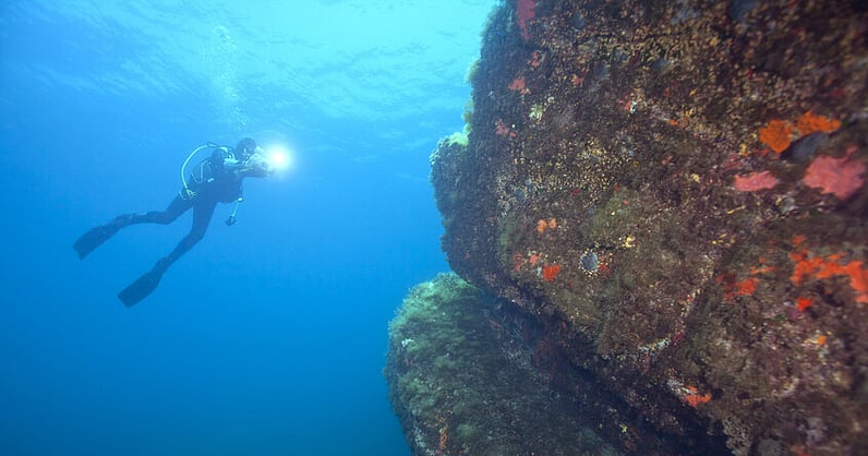 باحثون يكتشفون جدارًا حجريًا مغمورًا تحت الماء قبالة سواحل بريتاني الفرنسية.. يعود تاريخه إلى نحو 7 آلاف عام (5000 ق.م).. يمتد 120 مترًا وعلى عمق 9 أمتار تحت سطح البحر.. يرجح أنه سد بحري أو مصيدة أسماك من عصور ما قبل التاريخ 
