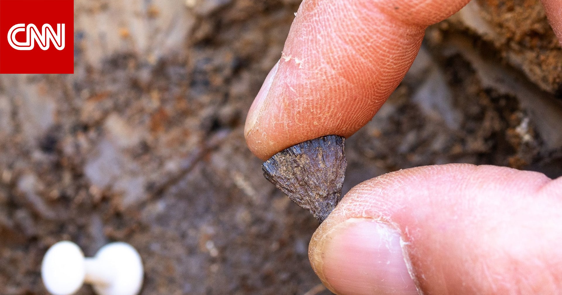 نقطة تحول في تاريخ البشرية.. اكتشاف أقدم دليل على استخدام البشر القدماء للنار في هذا الموقع 