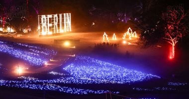 عاجل.. ألمانيا تحبط هجوما إرهابيا على سوق عيد الميلاد واعتقال 5 أشخاص 