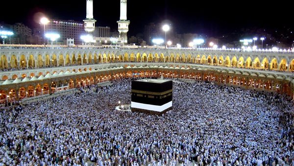 خطوات حجز العمرة عبر منصة نسك 2025 #عاجل 