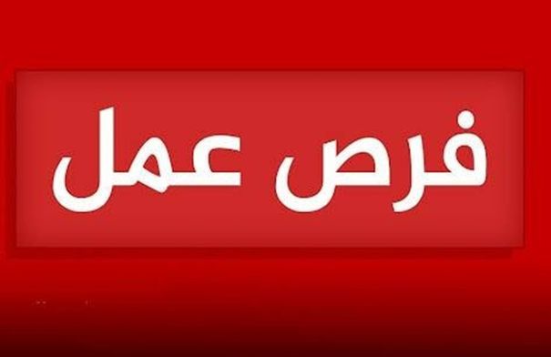 وظائف حكومية شاغرة - تفاصيل 