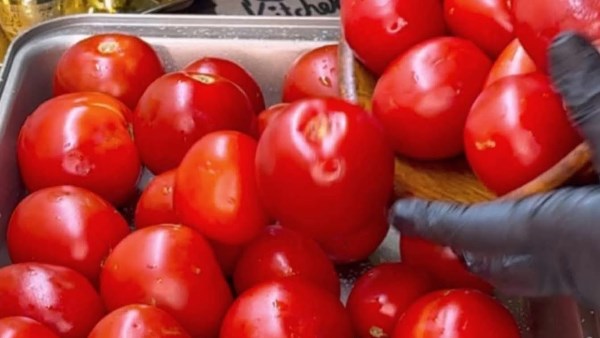 انخفاض مؤقت.. موعد ارتفاع أسعار الطماطم بالأسواق| كم سيصل سعر الكيلو؟ #عاجل 
