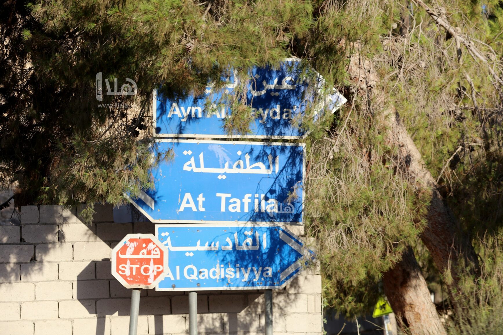 تأخير دوام مدارس الطفيلة ليوم الخميس #الأردن 