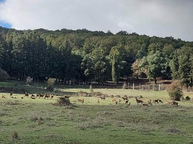 محمية الفايجة: جنة طبيعية كريمة مع الزوار، تجعلها القوانين شحيحة مع السكان المحليين 