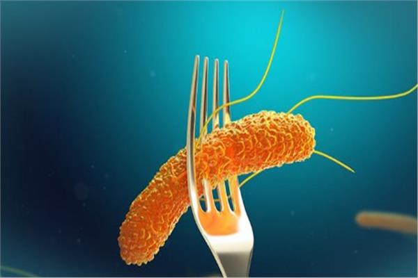 الأطعمة التي تسبب السالمونيلا وكيفية الوقاية منها؟ 