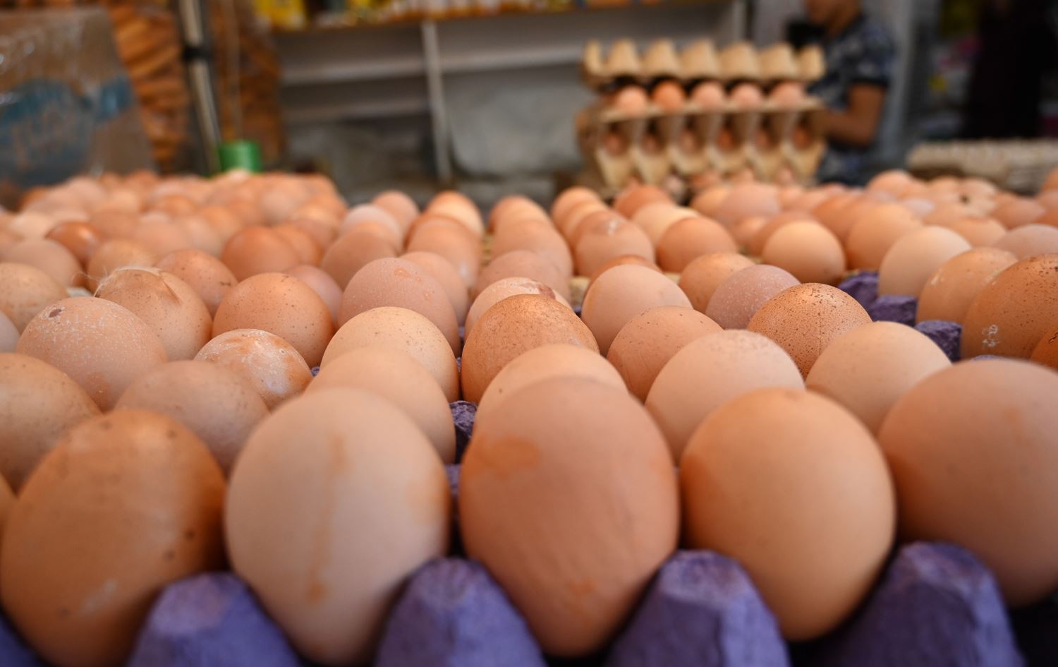 إقليم كوردستان لديه فائض يبلغ 4.6 مليون بيضة يومياً.. وبغداد تفتح الباب لتسويقه 