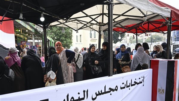 تقديم الطعون على نتيجة الـ30 دائرة الملغاة بانتخابات مجلس النواب.. الموعد الأخير #عاجل 