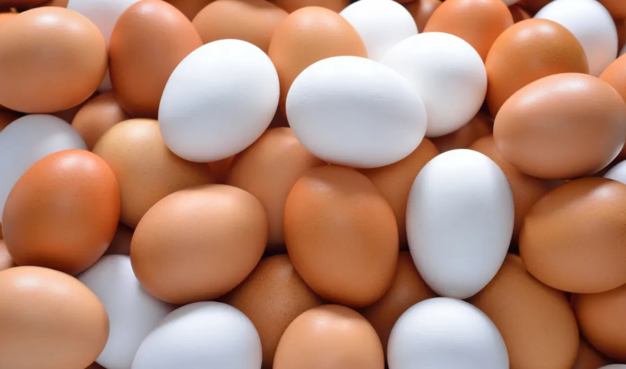 دراسة: تناول قشر البيض قد يحميك من #التجاعيد 